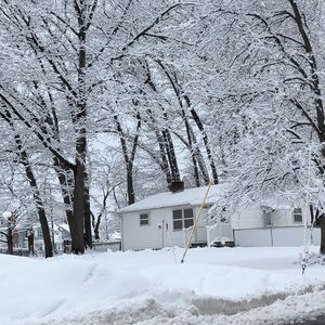 Meet your Posher, Sonia